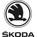 Марка шкода на русском языке ThinkDiag все марки eobd